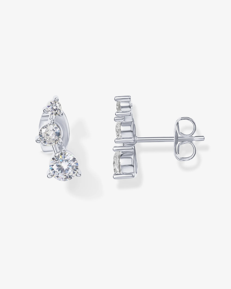 Pair of silver earrings on a white background